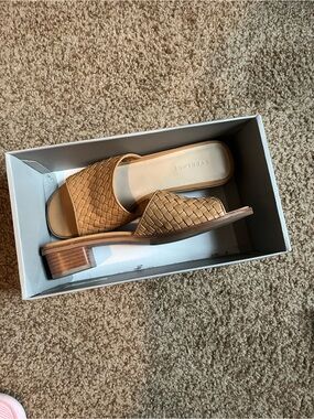 Everlane Heeled Sandals